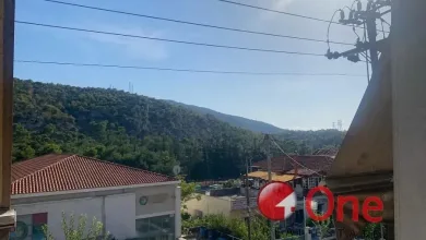 Δαφνί: Πωλείται διαμέρισμα 95 τμ., θέα δάσος 35 Δαφνί: Πωλείται διαμέρισμα 95 τμ., θέα δάσος