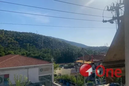 Δαφνί: Πωλείται διαμέρισμα 95 τμ., θέα δάσος