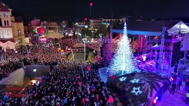 "Περιστέρι πολλών αστέρων" 2023: Carousel - λούνα παρκ - τρενάκια - συναυλίες