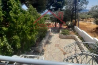 Μεγάλο Πεύκο: Πωλείται οικία με κήπο, 100 μ. από τη θάλασσα 34 Μεγάλο Πεύκο: Πωλείται οικία με κήπο, 100 μ. από τη θάλασσα