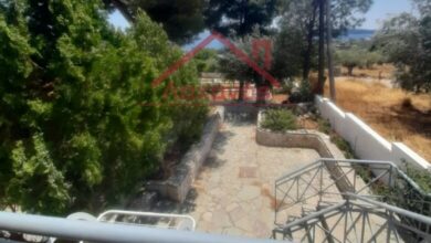 Μεγάλο Πεύκο: Πωλείται οικία με κήπο, 100 μ. από τη θάλασσα 23 Μεγάλο Πεύκο: Πωλείται οικία με κήπο, 100 μ. από τη θάλασσα