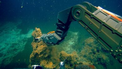 Αυτός είναι ο Κολούμπος, που γέννησε πριν 4 αιώνες τον "καιρό του κακού" 13 Αυτός είναι ο Κολούμπος, που γέννησε πριν 4 αιώνες τον "καιρό του κακού"