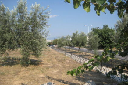 Πέτρου Ράλλη & Θηβών: Η υποδειγματική ανάδειξη του αρχαίου Eλαιώνα της Αθήνας