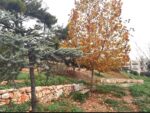 Βραβεύεται στα Greek Green Awards της Verde-Tec το 
