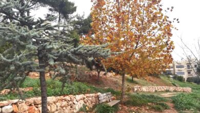 Βραβεύεται στα Greek Green Awards της Verde-Tec το "χειροποίητο" πάρκο στο Δάσος Χαϊδαρίου 24 Βραβεύεται στα Greek Green Awards της Verde-Tec το "χειροποίητο" πάρκο στο Δάσος Χαϊδαρίου