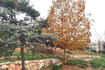 Βραβεύεται στα Greek Green Awards της Verde-Tec το 
