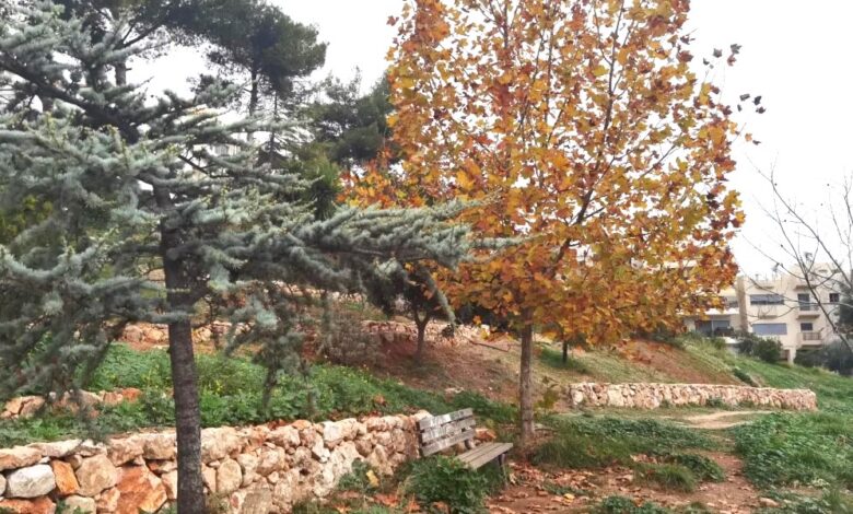 Βραβεύεται στα Greek Green Awards της Verde-Tec το Βραβεύεται στα Greek Green Awards της Verde-Tec το