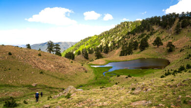Ελεγκτικό Συνέδριο: Κανένα ελληνικό φυσικό μνημείο δεν έχει ενταχθεί στον Κατάλογο Παγκόσμιας Κληρονομιάς της UNESCO! 1 Ελεγκτικό Συνέδριο: Κανένα ελληνικό φυσικό μνημείο δεν έχει ενταχθεί στον Κατάλογο Παγκόσμιας Κληρονομιάς της UNESCO!