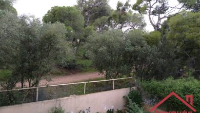 Ίλιον: Ενοικιάζεται διαμέρισμα, θέα στο Πάρκο Τρίτση 24 Ίλιον: Ενοικιάζεται διαμέρισμα, θέα στο Πάρκο Τρίτση