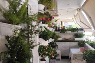 Δείτε αυλές και μπαλκόνια που βραβεύτηκαν στον διαγωνισμό κήπων του Δήμου Περιστερίου