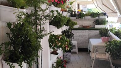 Δείτε αυλές και μπαλκόνια που βραβεύτηκαν στον διαγωνισμό κήπων του Δήμου Περιστερίου 10 Δείτε αυλές και μπαλκόνια που βραβεύτηκαν στον διαγωνισμό κήπων του Δήμου Περιστερίου
