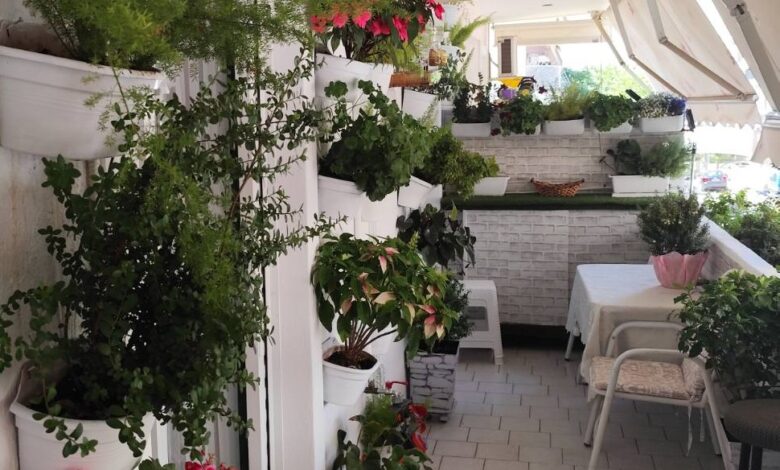 Δείτε αυλές και μπαλκόνια που βραβεύτηκαν στον διαγωνισμό κήπων του Δήμου Περιστερίου 1 Δείτε αυλές και μπαλκόνια που βραβεύτηκαν στον διαγωνισμό κήπων του Δήμου Περιστερίου