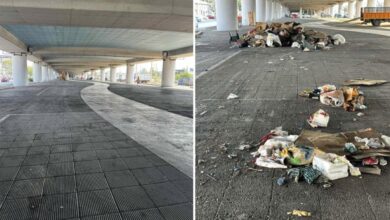 Επιχείρηση καθαρισμού σε γέφυρες του Κηφισού 7 Επιχείρηση καθαρισμού σε γέφυρες του Κηφισού