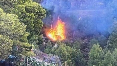 Πλούσια η εγκληματική δράση του 32χρονου που συνελήφθη για παρενόχληση ανήλικων κοριτσιών στο Αιγάλεω 6 Πλούσια η εγκληματική δράση του 32χρονου που συνελήφθη για παρενόχληση ανήλικων κοριτσιών στο Αιγάλεω