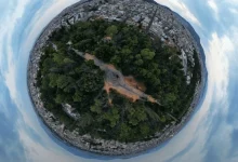 Έτσι φυτεύτηκαν τα δάση της Δυτικής Αθήνας και δημιουργήθηκε το Άλσος Αιγάλεω