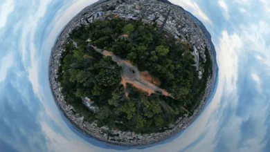 Έτσι φυτεύτηκαν τα δάση της Δυτικής Αθήνας και δημιουργήθηκε το Άλσος Αιγάλεω 3 Έτσι φυτεύτηκαν τα δάση της Δυτικής Αθήνας και δημιουργήθηκε το Άλσος Αιγάλεω