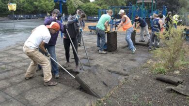 Depaving: Έξω έχει γίνει κίνημα... γιατί η φύση μάς λέει στοπ στις ανοησίες!