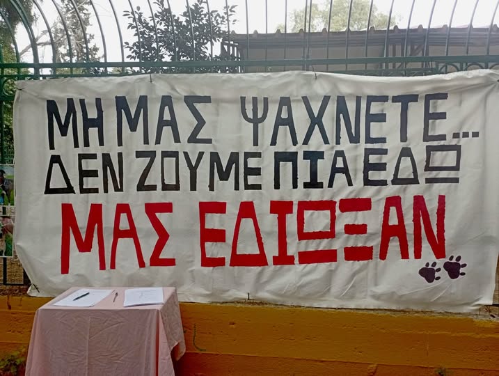 Σάλος στο Αιγάλεω για την "μυστική" απομάκρυνση σκύλων από το Μπαρουτάδικο 3 Σάλος στο Αιγάλεω για την "μυστική" απομάκρυνση σκύλων από το Μπαρουτάδικο