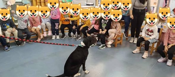 Σάλος στο Αιγάλεω για την "μυστική" απομάκρυνση σκύλων από το Μπαρουτάδικο 2 Σάλος στο Αιγάλεω για την "μυστική" απομάκρυνση σκύλων από το Μπαρουτάδικο