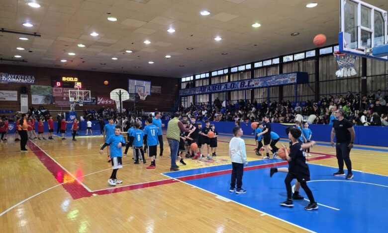 Ολοκληρώθηκε με όμορφη γιορτή το Τουρνουά Μπάσκετ των Δημοτικών Σχολείων