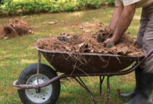 Αιγάλεω: Καθαρισμός οικοπέδων και ακάλυπτων χώρων ενόψει αντιπυρικής περιόδου 2026