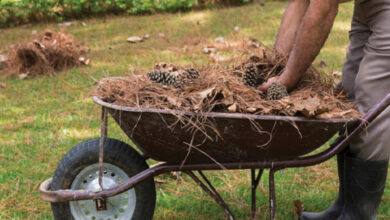 Αιγάλεω: Καθαρισμός οικοπέδων και ακάλυπτων χώρων ενόψει αντιπυρικής περιόδου 2026