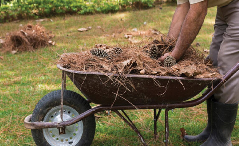 Αιγάλεω: Καθαρισμός οικοπέδων και ακάλυπτων χώρων ενόψει αντιπυρικής περιόδου 2026
