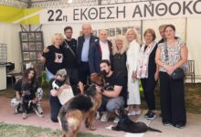 "Μια αγκαλιά αρκεί… για μια ζωή μαζί!" Με μήνυμα αγάπης ολοκληρώθηκε η Ημέρα Υιοθεσίας Αδέσποτων Ζώων στο Αιγάλεω