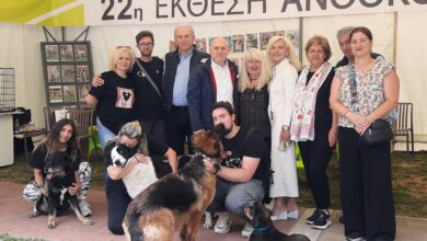 "Μια αγκαλιά αρκεί… για μια ζωή μαζί!" Με μήνυμα αγάπης ολοκληρώθηκε η Ημέρα Υιοθεσίας Αδέσποτων Ζώων στο Αιγάλεω