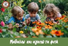 "Μαθαίνω και αγαπώ τα φυτά" - Βιωματικό εργαστήρι στην Ανθοκομική