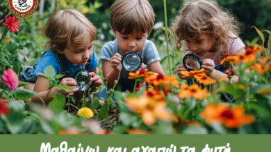 "Μαθαίνω και αγαπώ τα φυτά" - Βιωματικό εργαστήρι στην Ανθοκομική