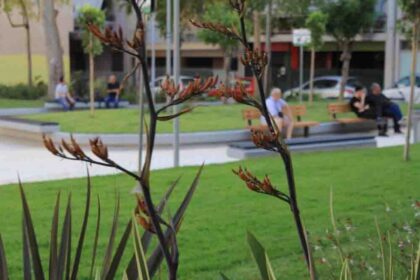 Μια νέα πλατεία γεννήθηκε στη Δυτική Αττική - Σε πρώτο ρόλο το πράσινο