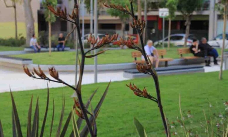 Μια νέα πλατεία γεννήθηκε στη Δυτική Αττική - Σε πρώτο ρόλο το πράσινο