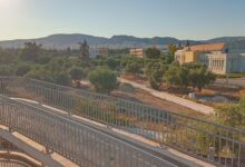 Εξαιρετική εξέλιξη στο Αιγάλεω: Το νέο "Πάρκο Ελιάς" αναβιώνει τον αρχαίο αθηναϊκό Ελαιώνα - Συνέντευξη και βίντεο