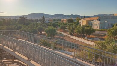 Εξαιρετική εξέλιξη στο Αιγάλεω: Το νέο "Πάρκο Ελιάς" αναβιώνει τον αρχαίο αθηναϊκό Ελαιώνα - Συνέντευξη και βίντεο